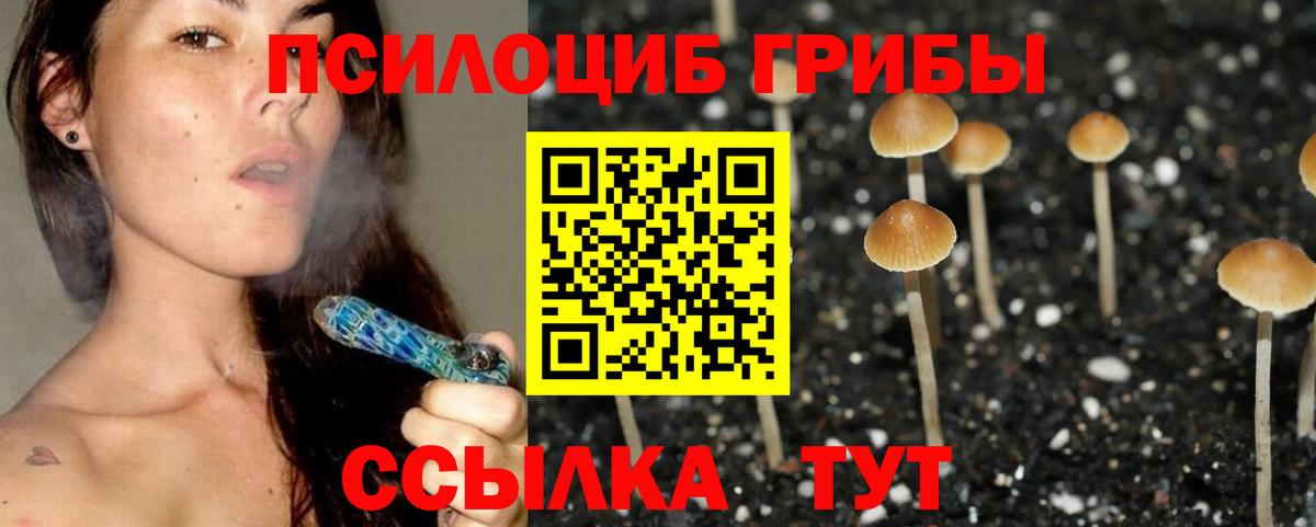 Псилоцибиновые грибы мицелий Биробиджан